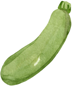 squash, zucchini watercolor