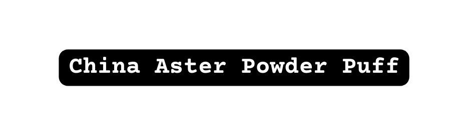 China Aster Powder Puff