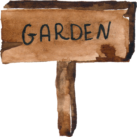watercolor garden tool illustration